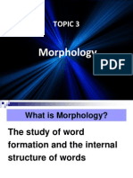 Understanding Morphology