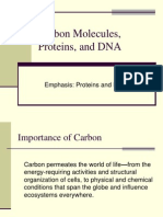 Lecture Carbon Molecules, Proteins, And DNA