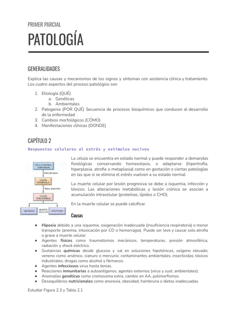 Capítulo 2 | PDF | Apoptosis | Bcl 2