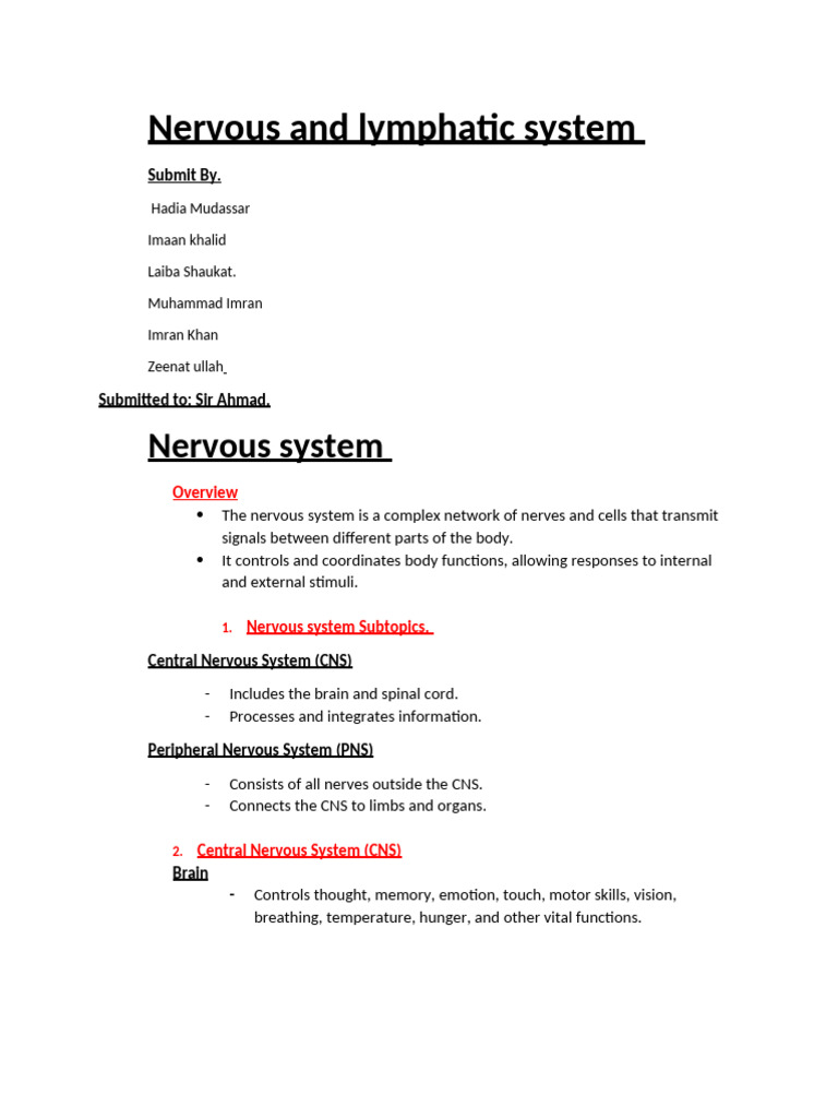 Nervous and Lymphatic System Anatomy | PDF | Lymphatic System | Neuron
