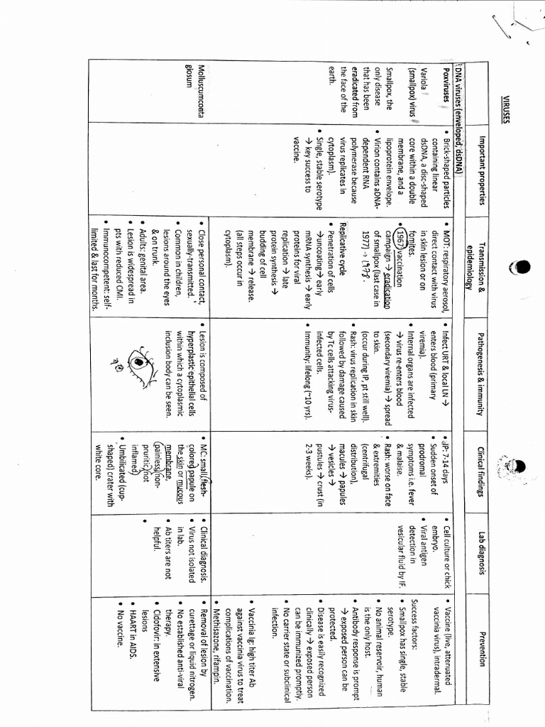 Virus Table 2 | PDF