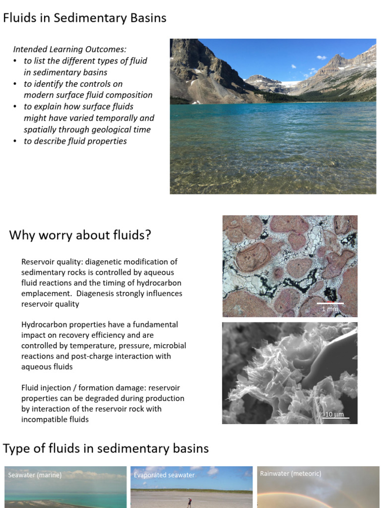 2a Fluids in Sedimentary Basins | PDF | Sedimentary Rock | Oceans