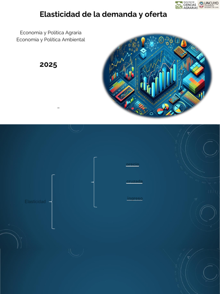 Elasticidad de la Oferta y Demanda | PDF | Elasticidad (economía ...