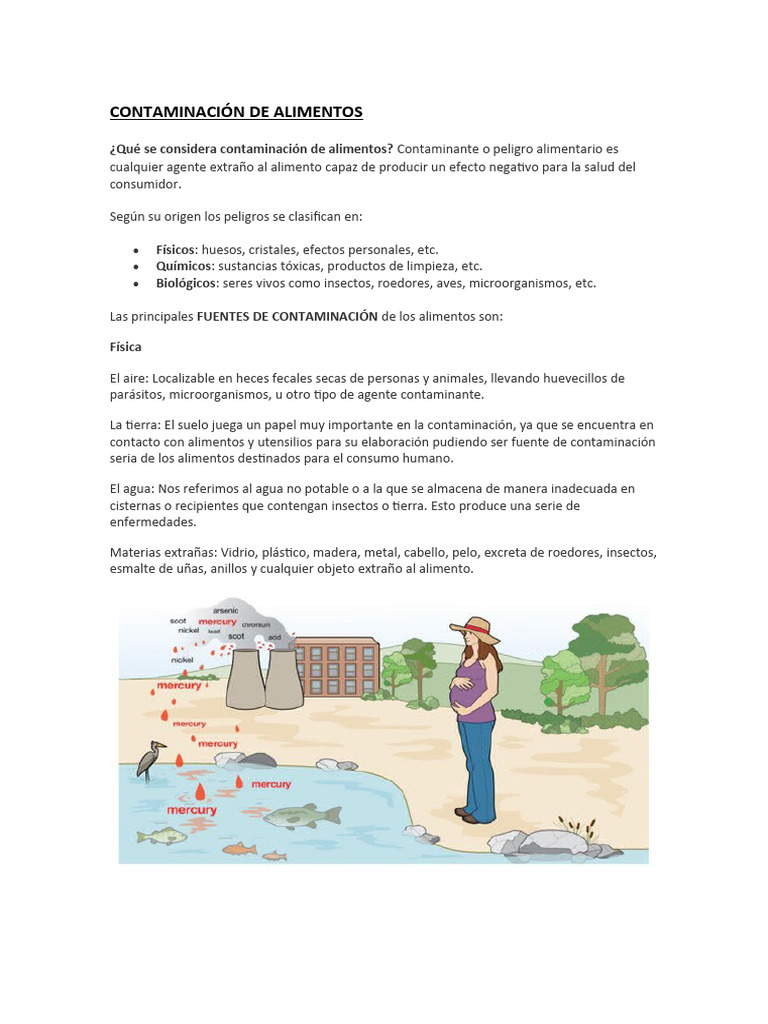 Contaminacion de Alimentos | PDF | Alimentos | Carne