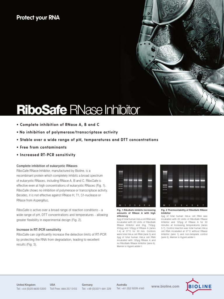RiboSafe RNase Inhibitor | PDF | Polymerase Chain Reaction | Nucleotides