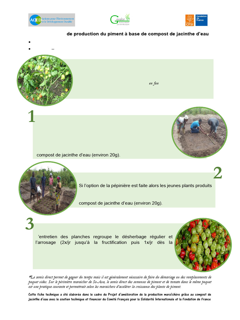 Production de piment avec compost de jacinthe | PDF | Piment | Semis