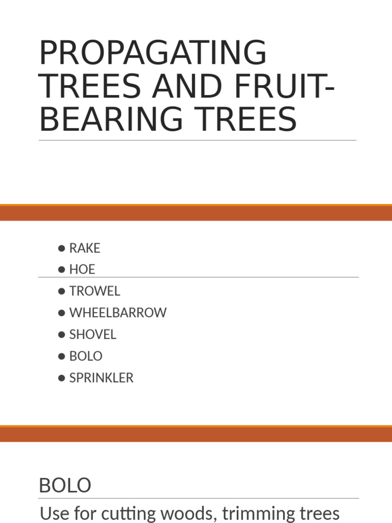 Propagating Trees and Fruit-Bearing Trees | PDF