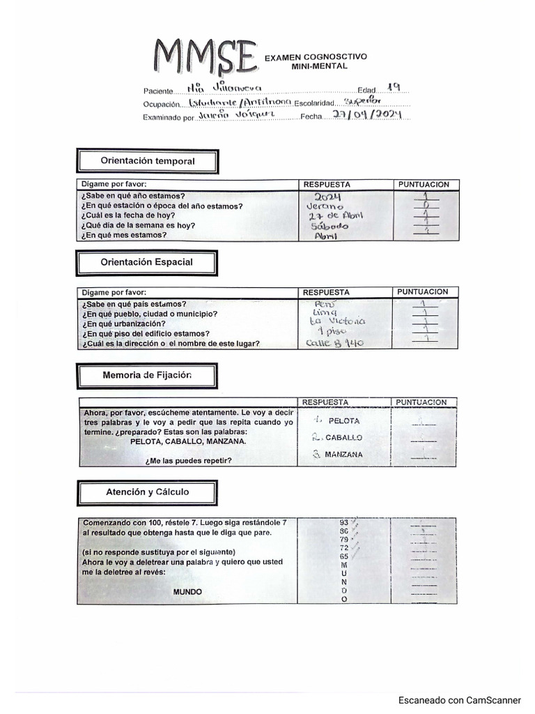 Minimental | PDF