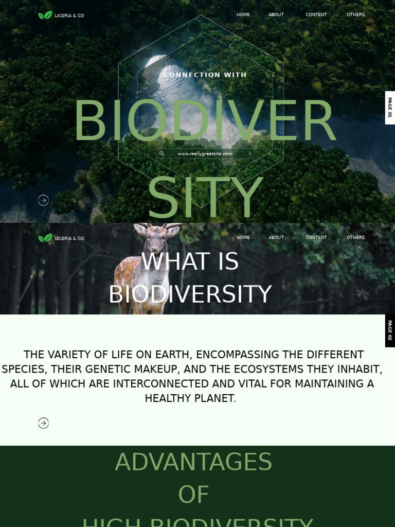 Importance of Biodiversity Explained | PDF | Biodiversity | Ecosystem