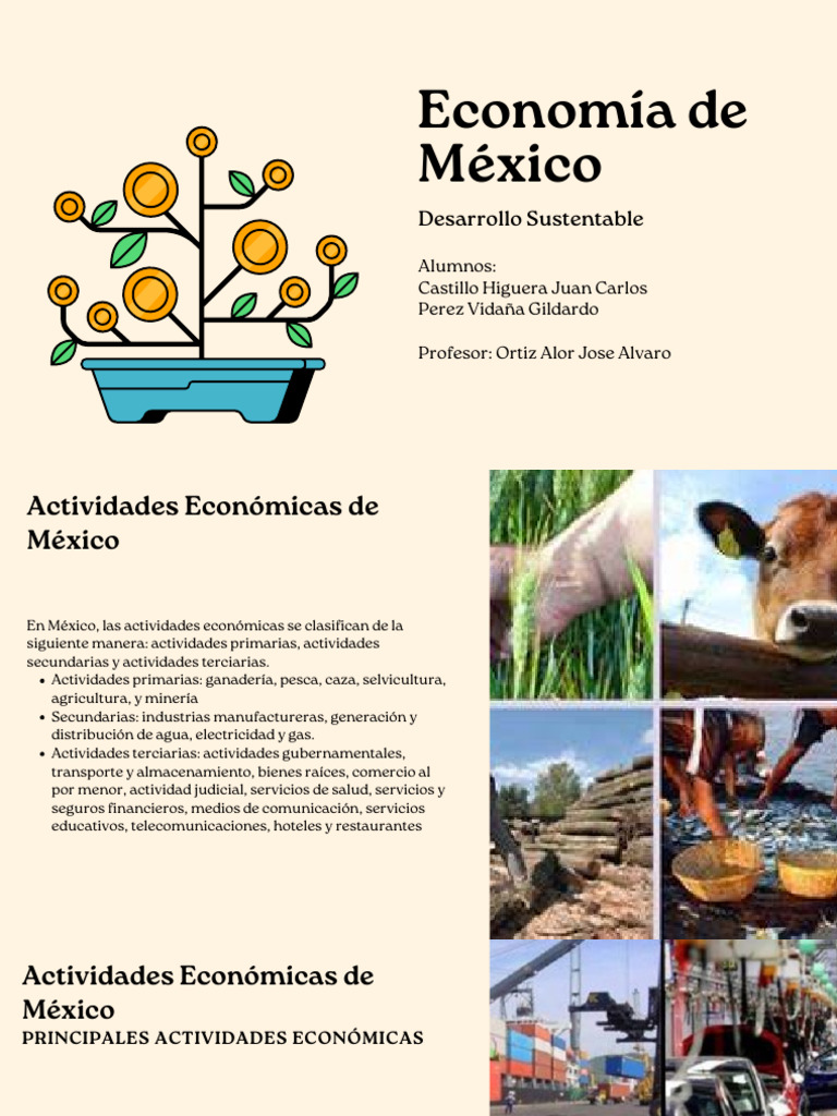 Actividades Económicas en México | PDF | México | Economias