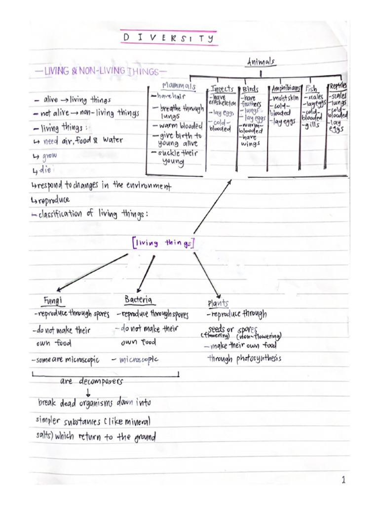 Psle Science Notes | PDF