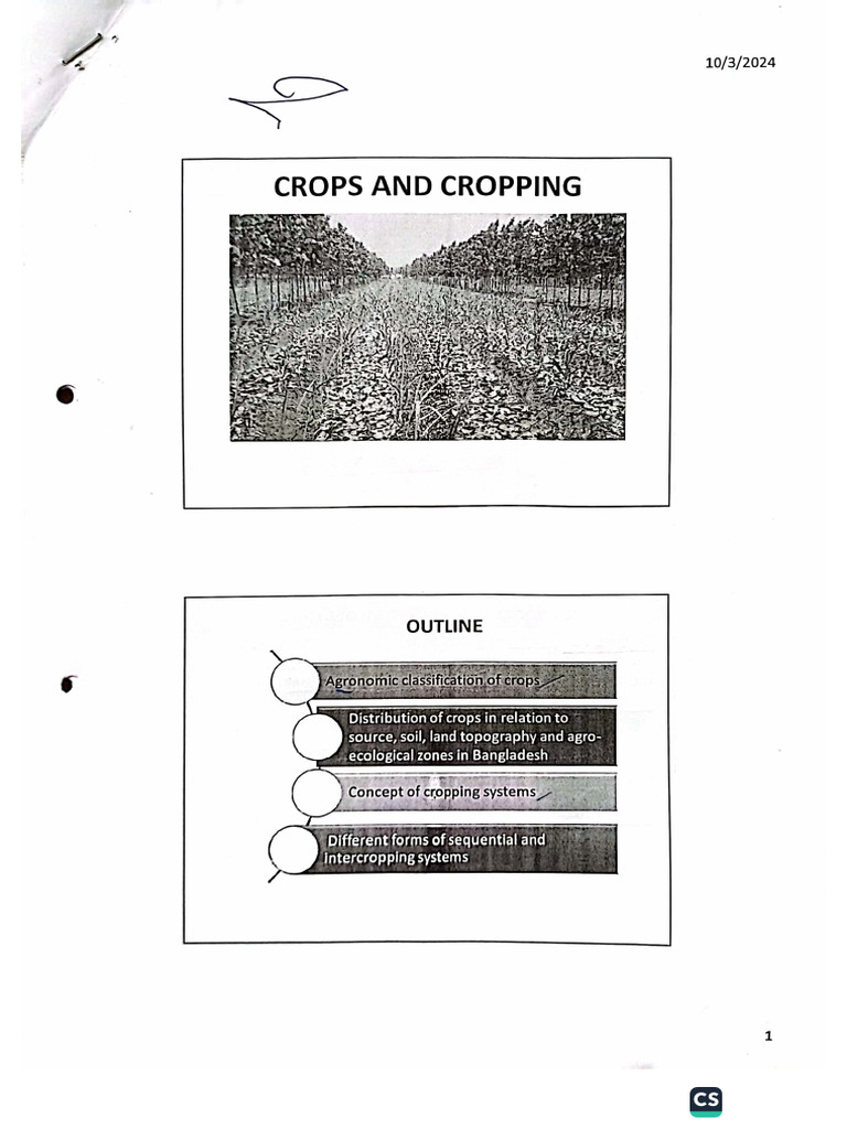 Crops & Cropping | PDF