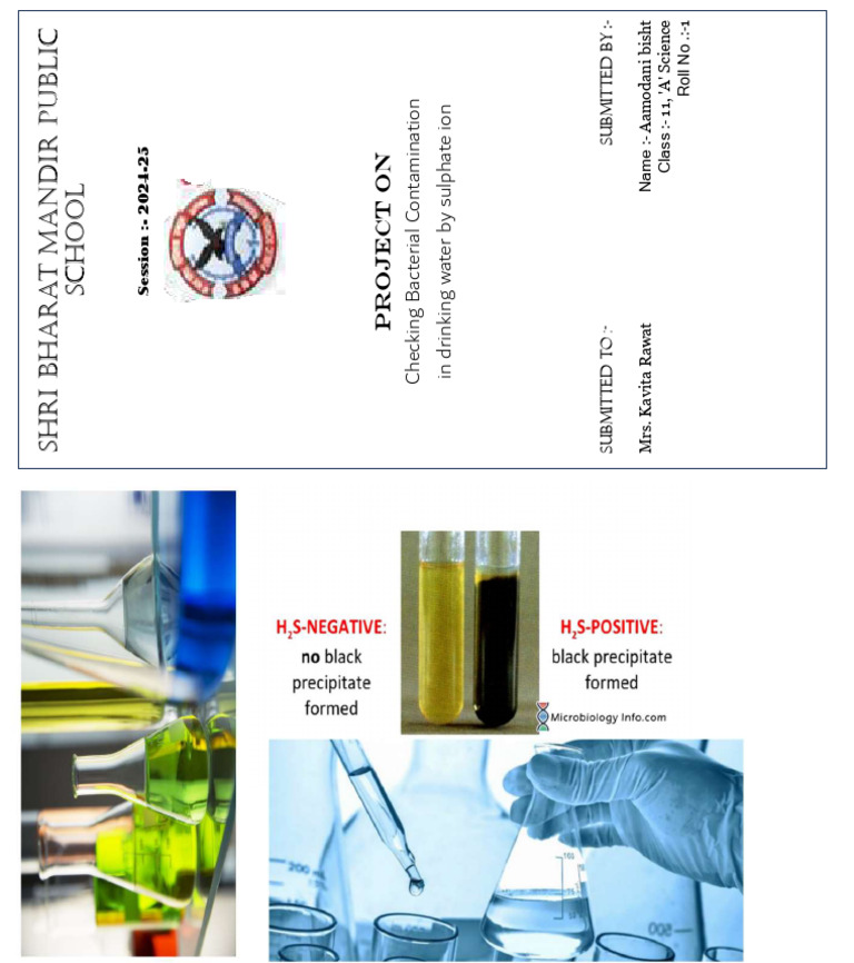 Bacterial Contamination in Drinking Water | PDF