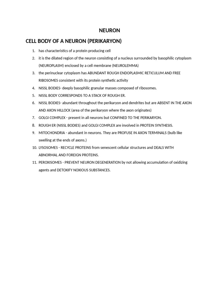 NEURON | PDF