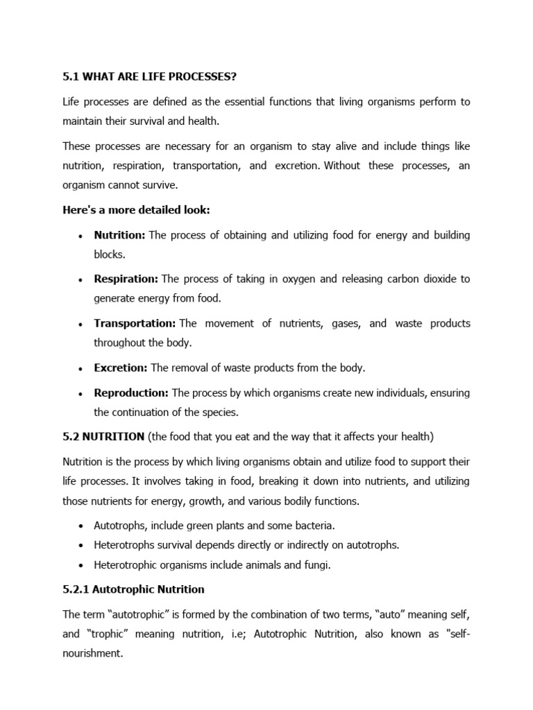 Chapter 5 Life Processes | PDF | Bile | Pancreas