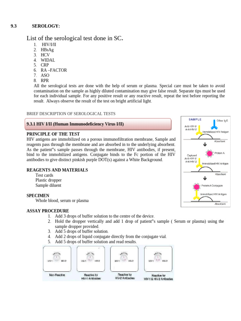 Serological Testing Procedures Overview | PDF | Antibody | Serology
