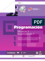 Guía formativa. PROGRAMACION 11. CECyTEH 2012 Gobierno Hidalgo