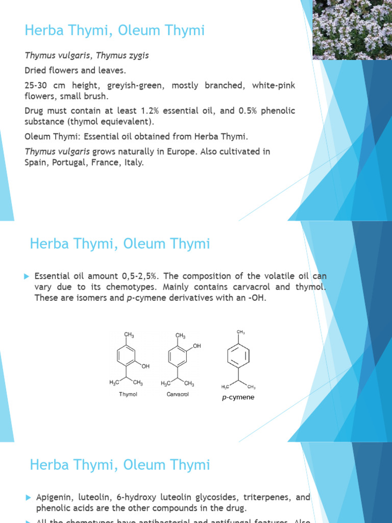 Herba Thymi and Oleum Thymi Overview | PDF | Essential Oil | Cumin