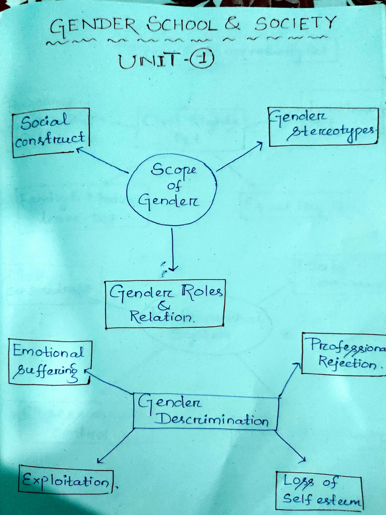 Gender Equality in Education and Society | PDF