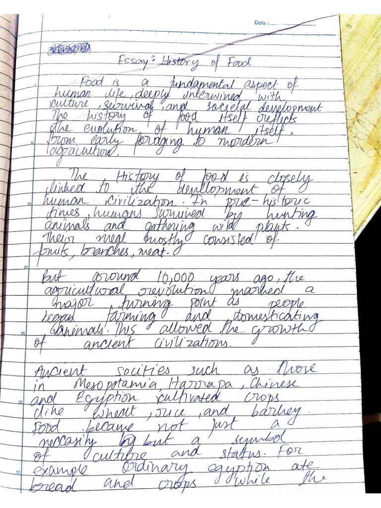 Suhansh Sundarka The History of Food Essay | PDF