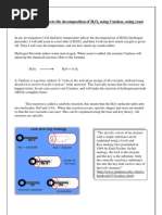 The Decomposition of H2O2 Using Catalase