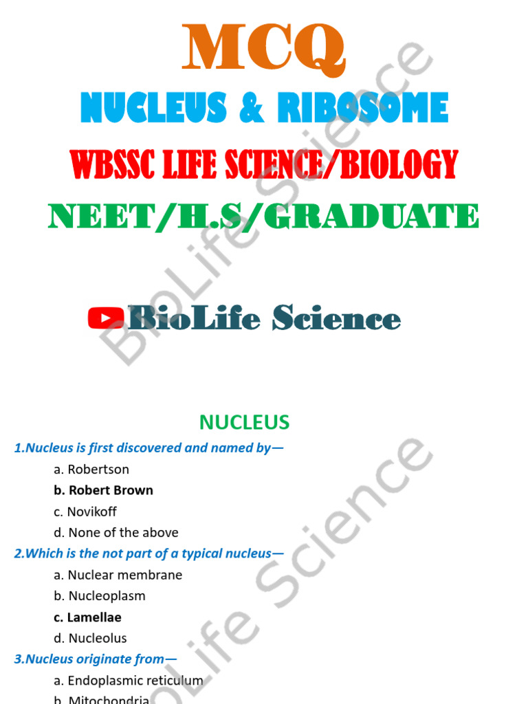 MCQs on Nucleus and Ribosome | PDF | Ribosome | Cell Nucleus