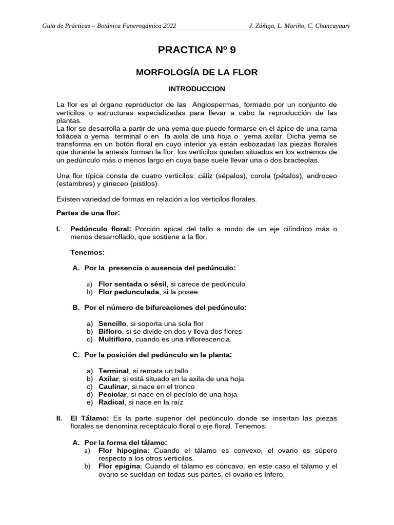 Morfología de la Flor en Angiospermas | PDF | Flores | Tallo de la planta