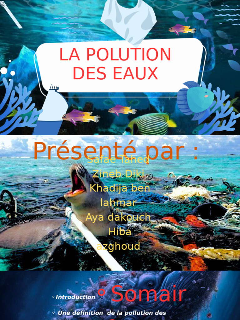 Pollution d Eau | PDF | Pollution de l'eau | la pollution