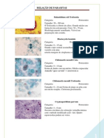 Relação de parasitas e seus detalhes morfológicos