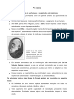 Origem Humana Pré-História Evolução 13 Milhões Anos