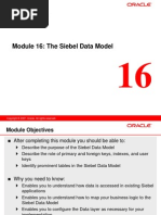 16 the Siebel Data Model