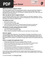 Supplementary Welfare Allowance Application | PDF | Social Security ...