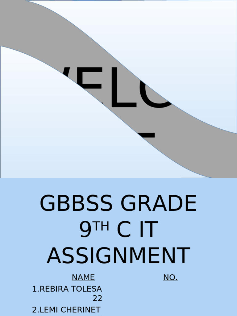 It Assignment | PDF