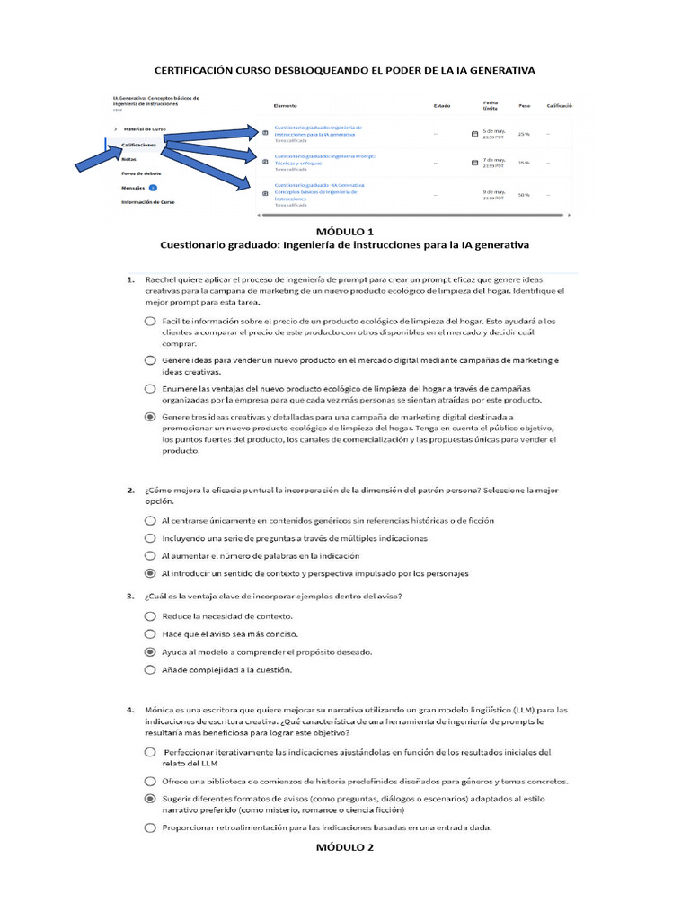 Certificación En Ia Generativa Pdf