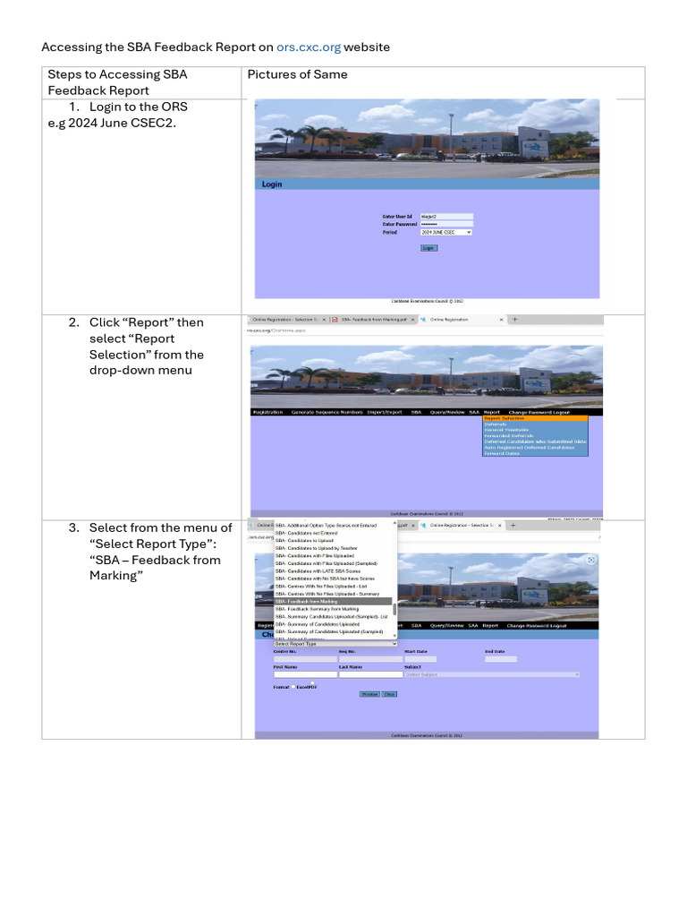 Accessing SBA Feedback Reports Online | PDF