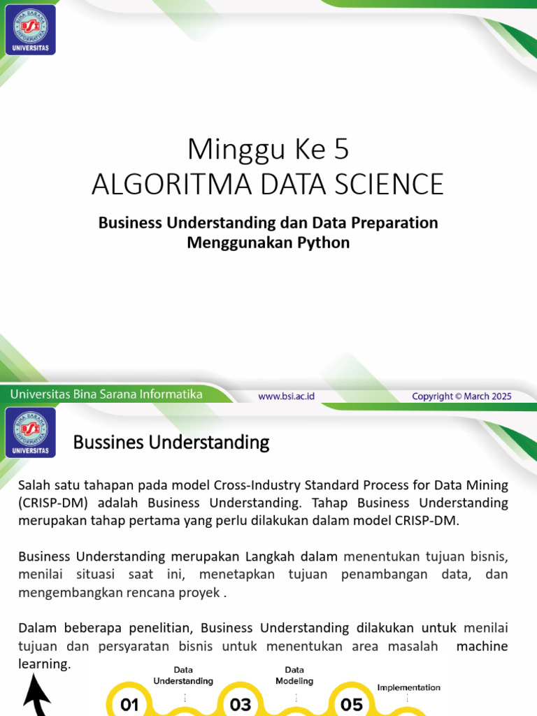 Pemahaman Bisnis dan Persiapan Data Python | PDF