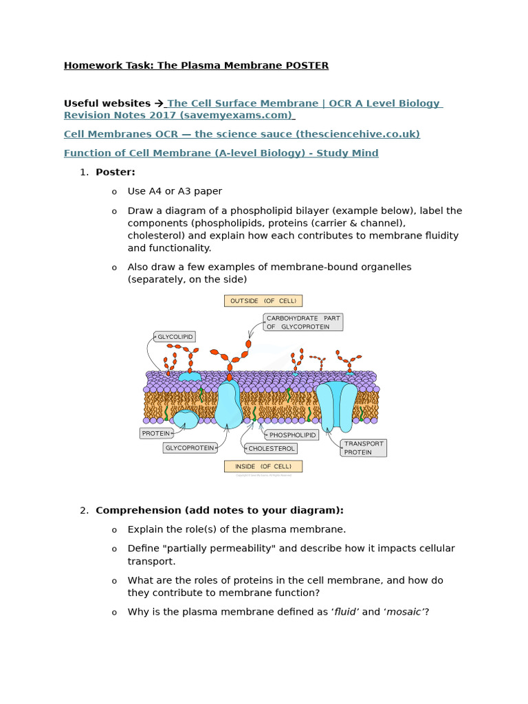 Plasma Membrane Prep Task | PDF