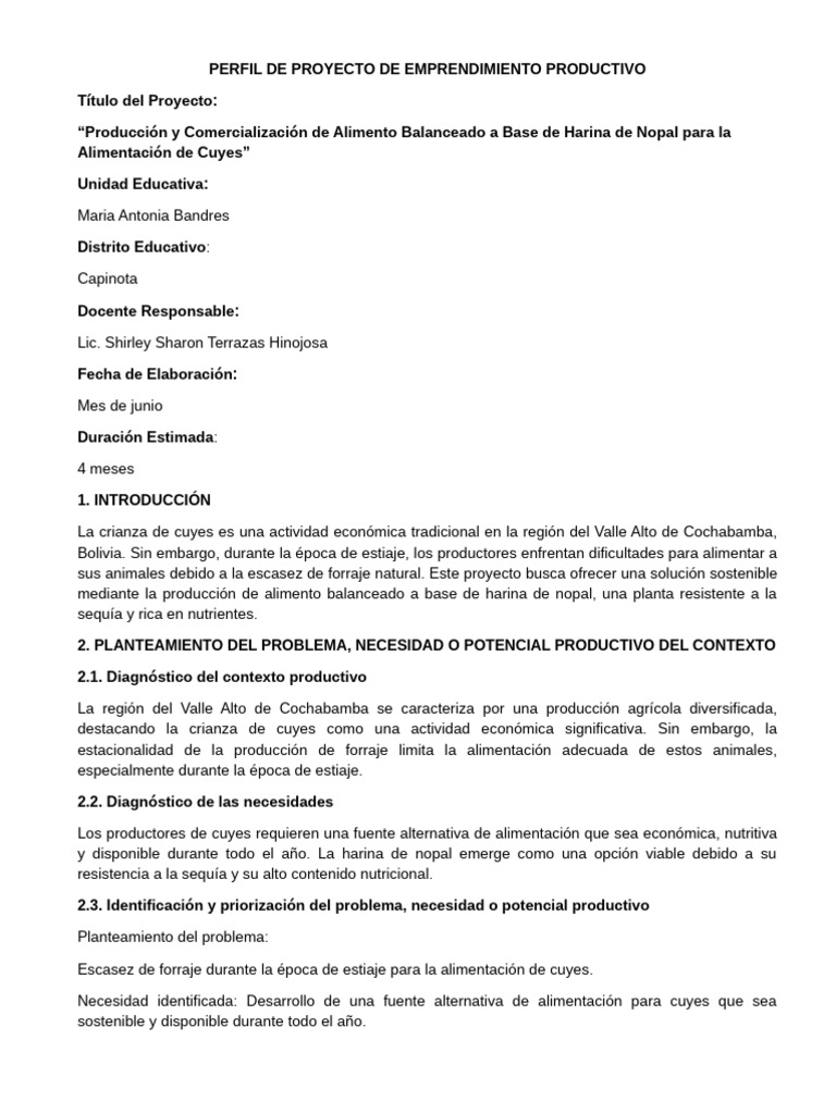 Perfil de Proyecto de Emprendimiento Productivo | PDF | Marketing ...