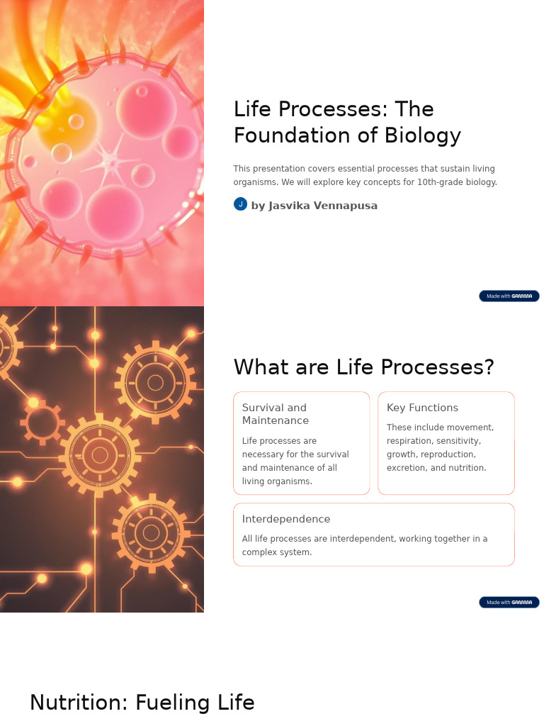 Essential Life Processes in Biology | PDF | Cellular Respiration ...