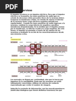Conducción del Impulso Nervioso | PDF | Potencial de acción | Sinapsis
