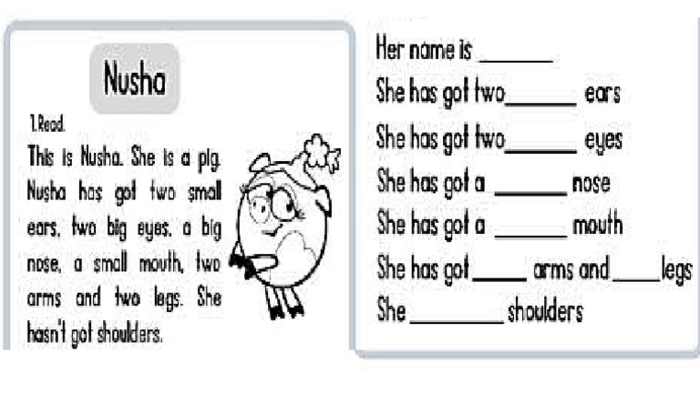 NUSHA | PDF