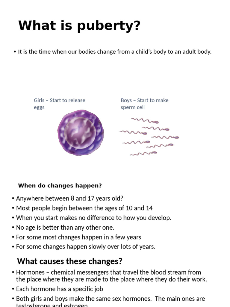 Understanding Puberty and Menstrual Cycle | PDF | Menstrual Cycle ...