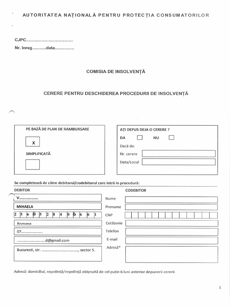 Model Completare Formular | PDF