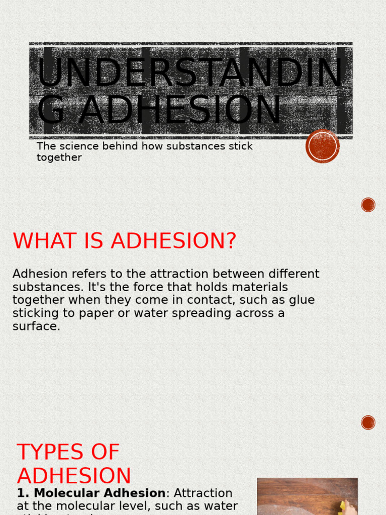 The Science of Adhesion Explained | PDF | Adhesion | Molecules