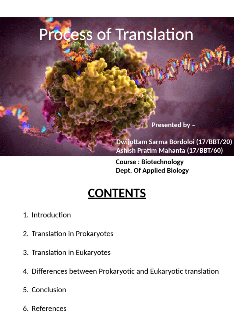 Prokaryotic vs Eukaryotic Translation | PDF | Translation (Biology ...