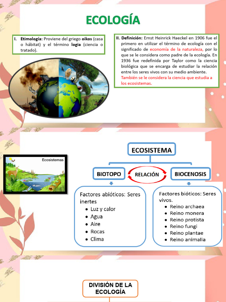 Semana N°7 Ecología | PDF | Ecología | Ecosistema