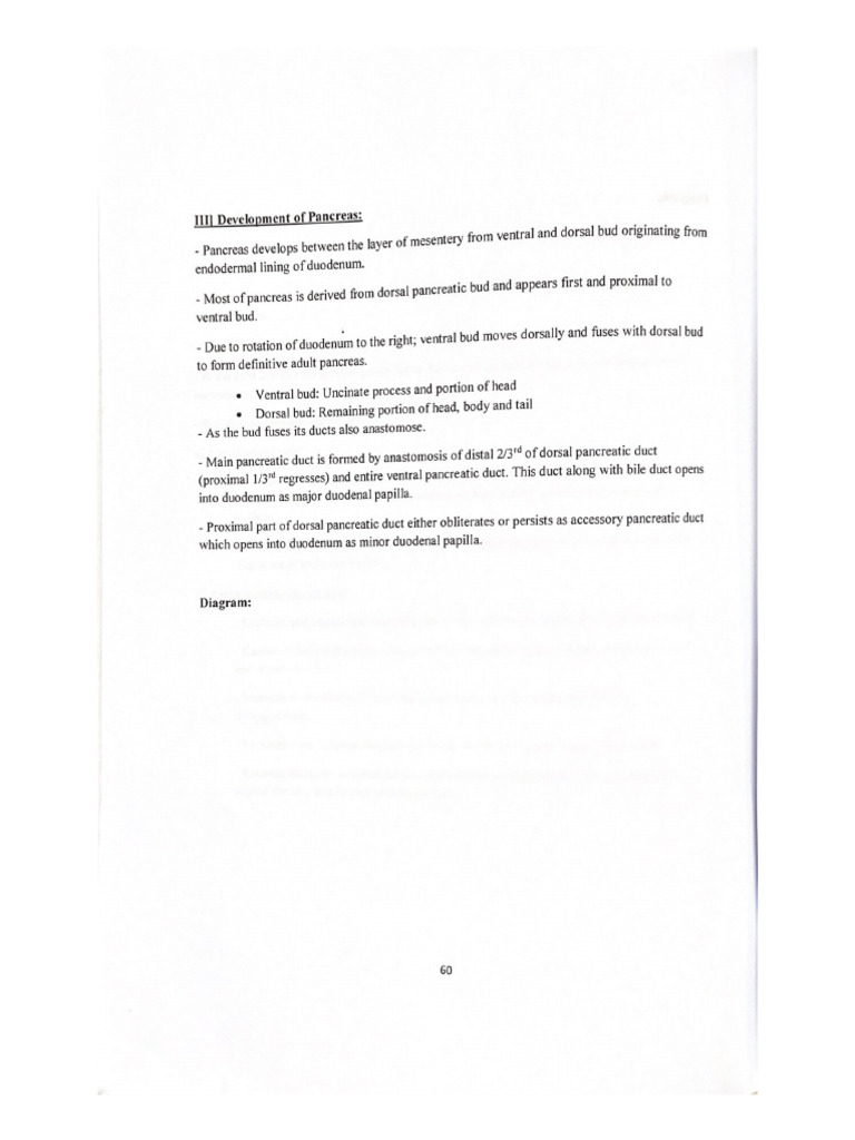 Embryo Journal | PDF