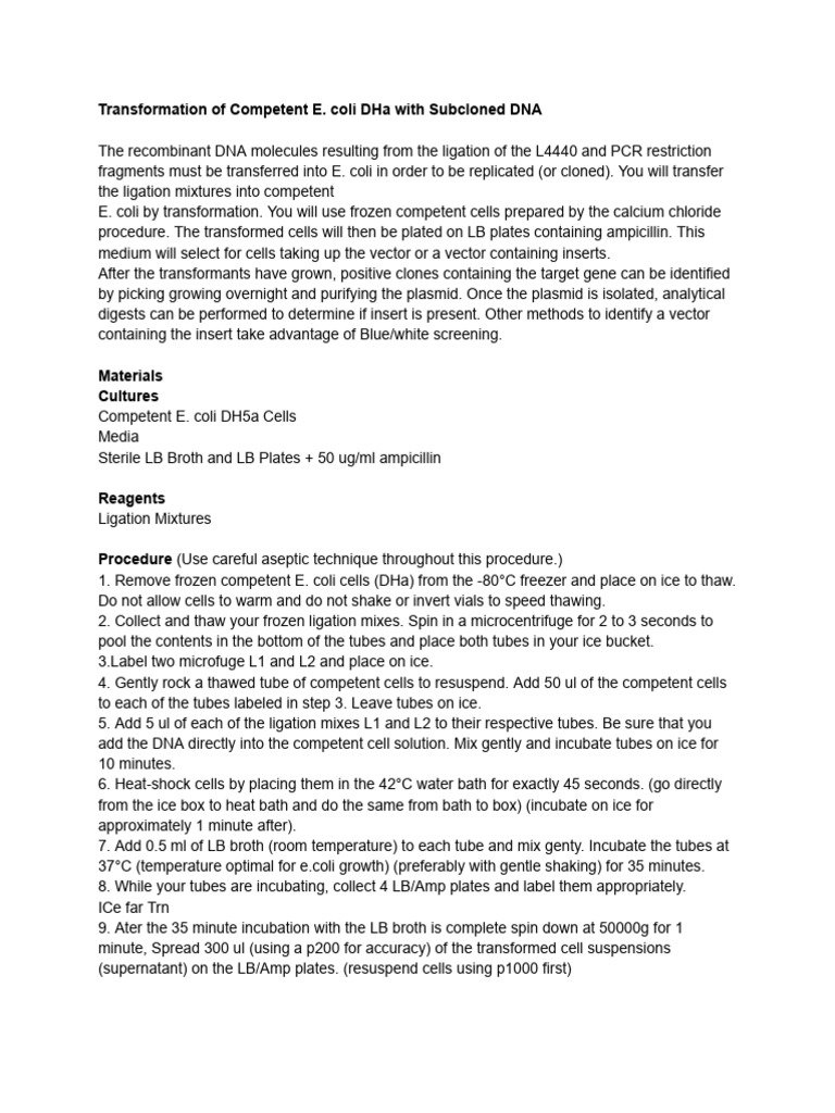 Transformation of Competent E. Coli DHa With Subcloned DNA | PDF ...