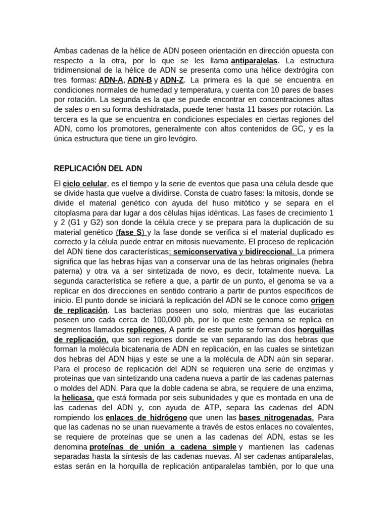 Estructura y Replicación del ADN | PDF | Adn | Replicación De Adn