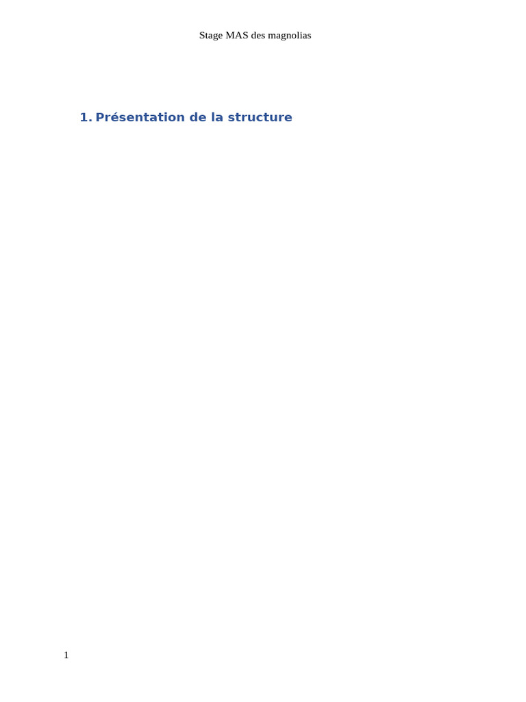 Stage en MAS : Rôle et observations clés | PDF | Invalidité